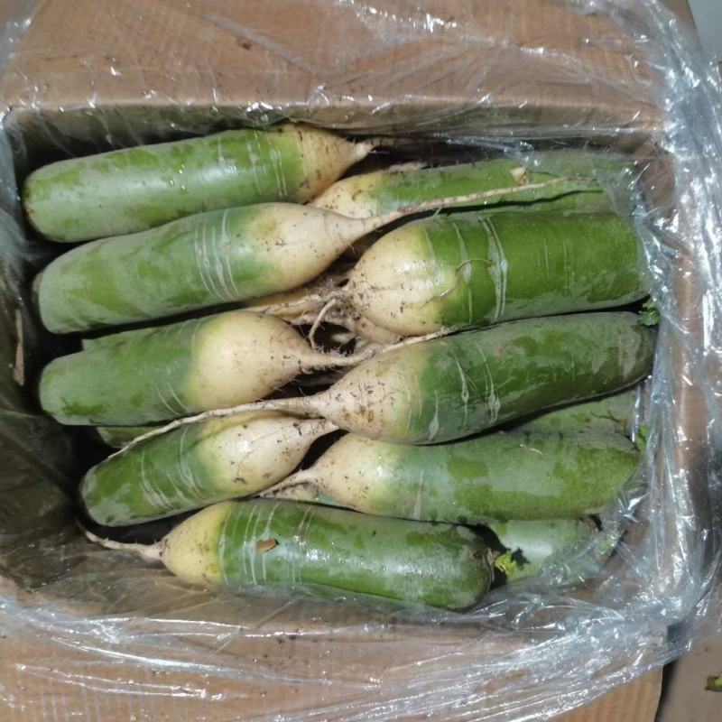 肥城库存水果萝卜便宜大甩卖了
