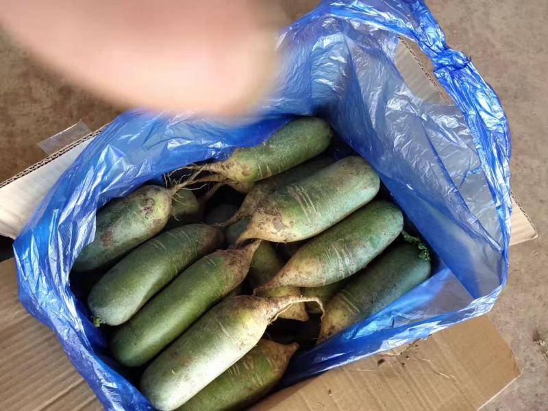 肥城库存水果萝卜便宜大甩卖了