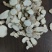 天花粉花粉爪蒌根现货批发批发零售各种中药材