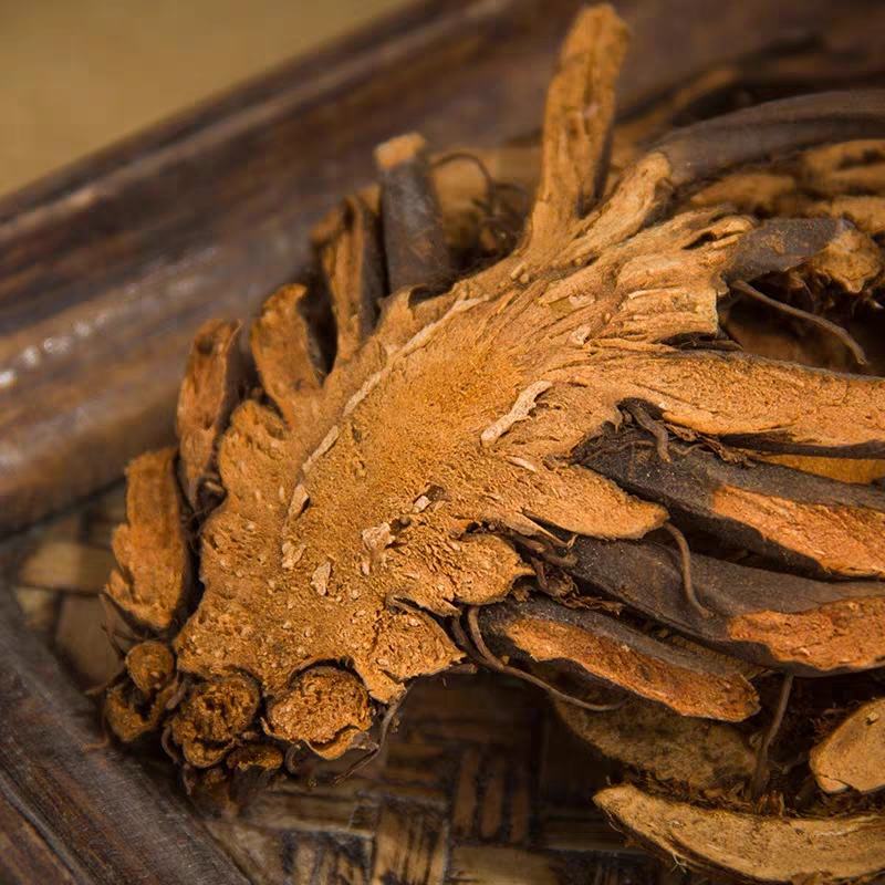 贯众贯仲贯节祥泰药材栈中药材批发零售实物拍