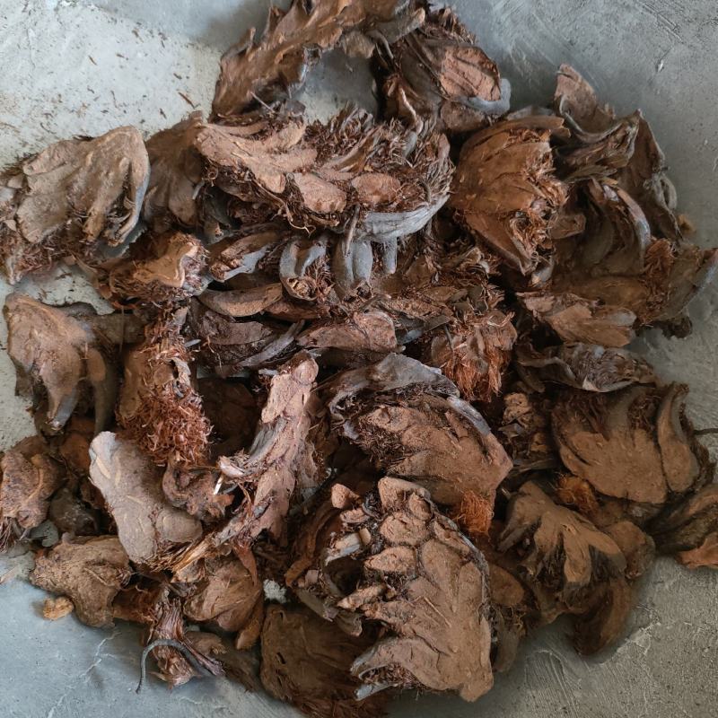 贯众贯仲贯节祥泰药材栈中药材批发零售实物拍