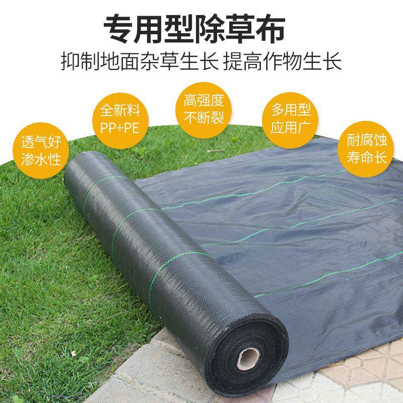 防草布，除草布农用盖草布抑草布抗老化果园防草布透气透水批