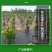 防草布，除草布农用盖草布抑草布抗老化果园防草布透气透水批