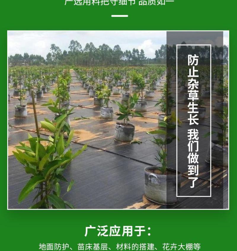 防草布，除草布农用盖草布抑草布抗老化果园防草布透气透水批