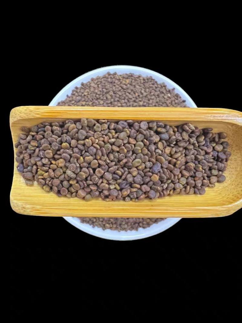 沙苑子祥泰药材栈中药材批发零售实物拍摄量多从优