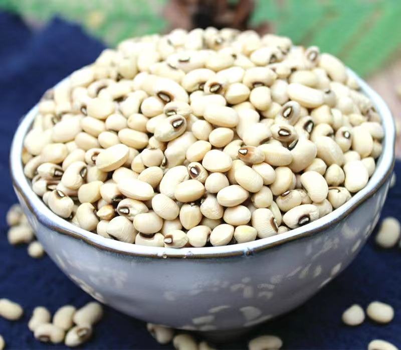 农家眉豆白眉豆白豇豆饭豆干净无杂香甜软糯可口包邮