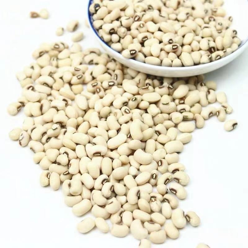 农家眉豆白眉豆白豇豆饭豆干净无杂香甜软糯可口包邮