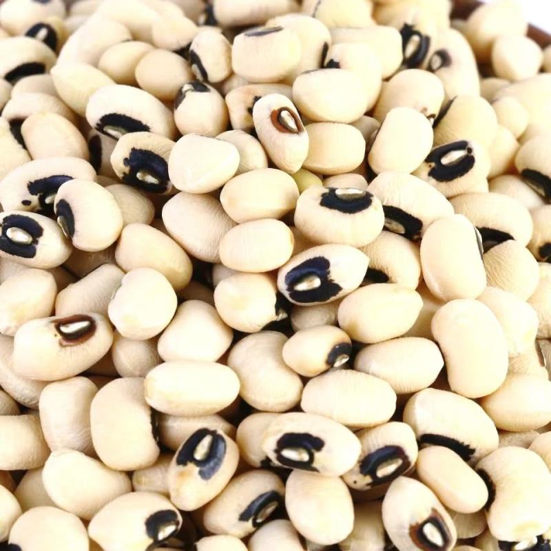 农家眉豆白眉豆白豇豆饭豆干净无杂香甜软糯可口包邮