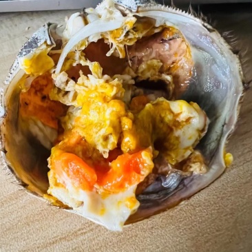 盘锦河蟹可视频看货品质好，味道棒，欢迎来电咨询