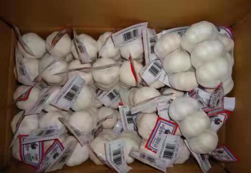 优质金乡大蒜基地直供一手货源，质量保证，代发全国