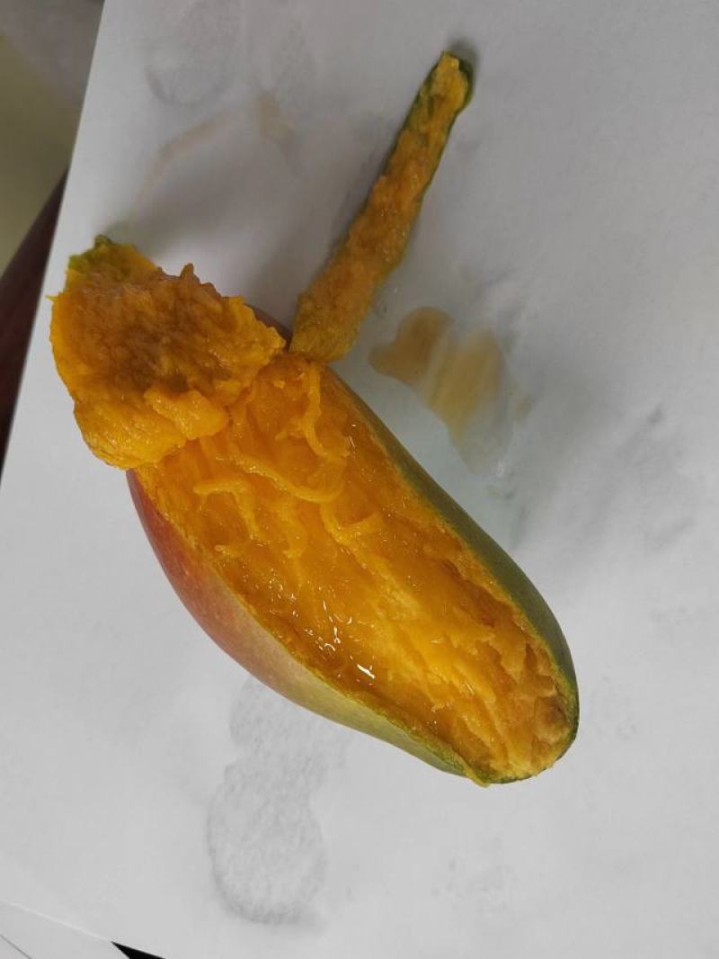 三亚树上熟贵妃芒一件代发