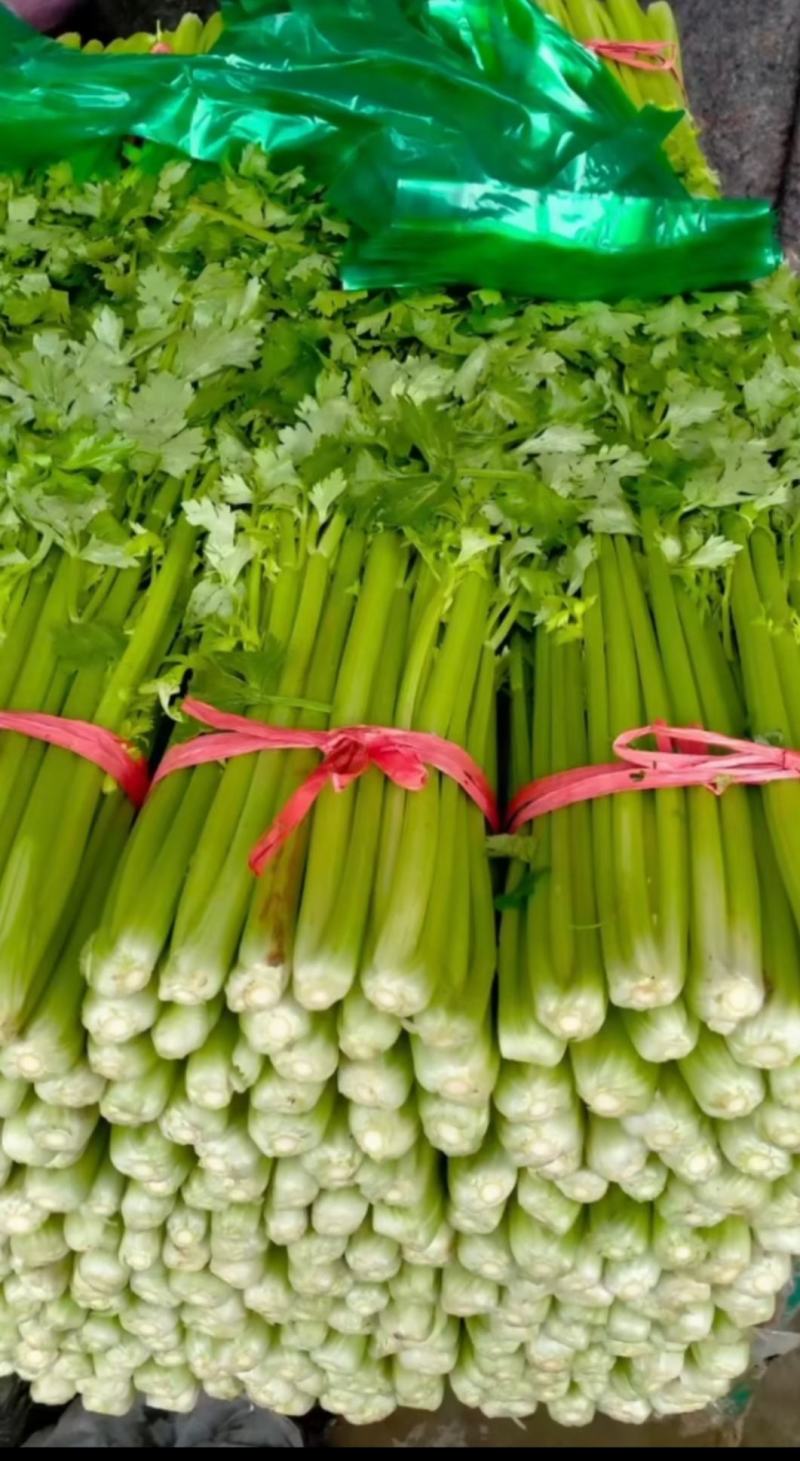 【芹菜】精品西菜，一手货源，品质保证，价格便宜，欢迎来电