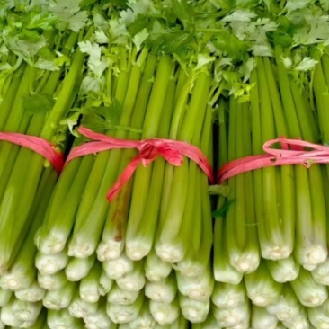 【芹菜】精品西菜，一手货源，品质保证，价格便宜，欢迎来电