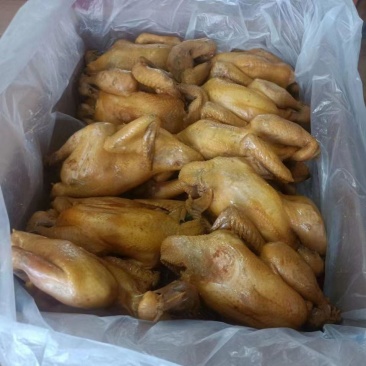 【卤味】漯河烧鸡精品烧鸡批发零售都可以欢迎咨询