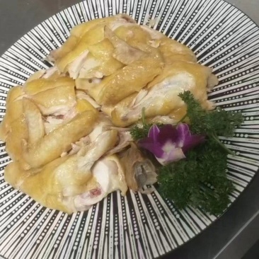 【熟食鸡】精品烧鸡漯河烧鸡卤烧鸡欢迎电话联系