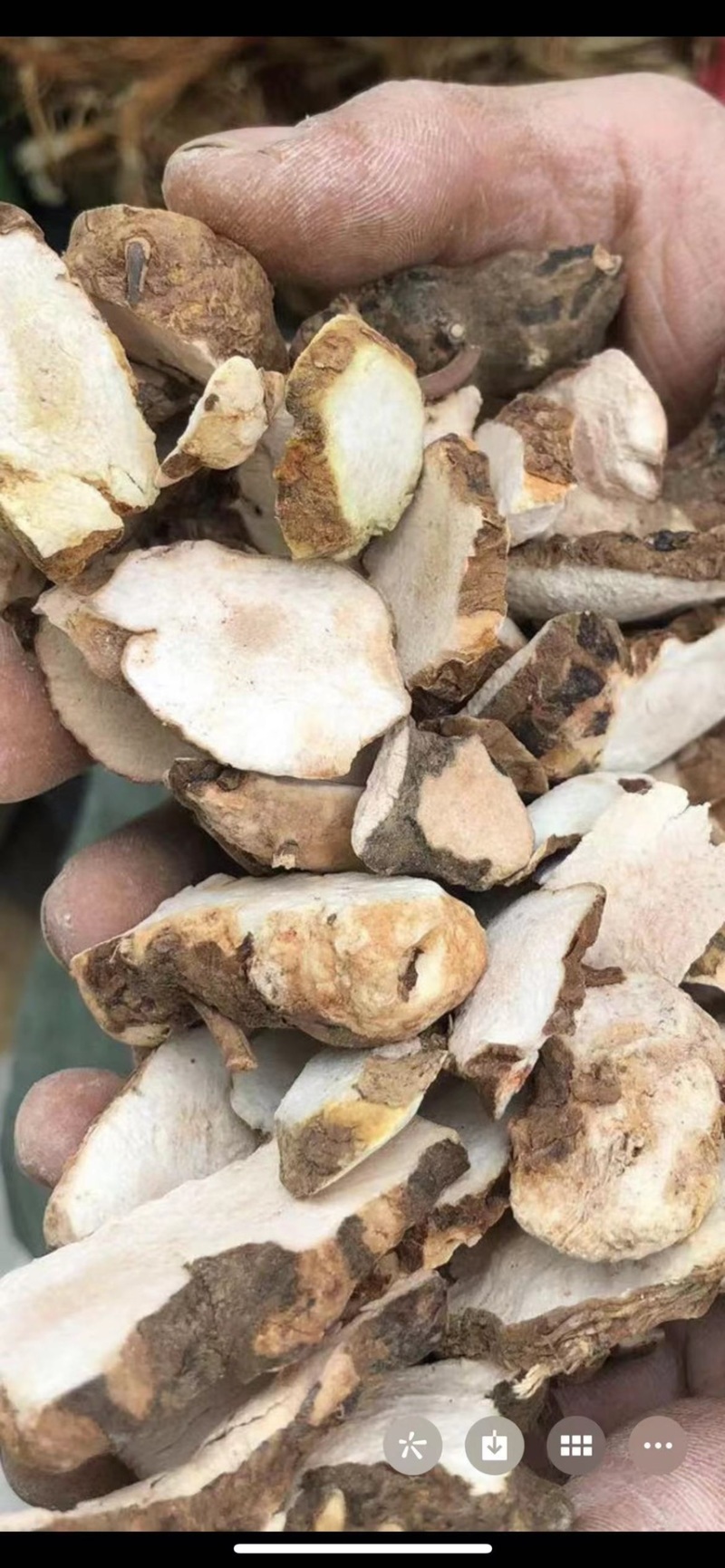 【精品】土茯苓干片产地直销量大从优量大优惠