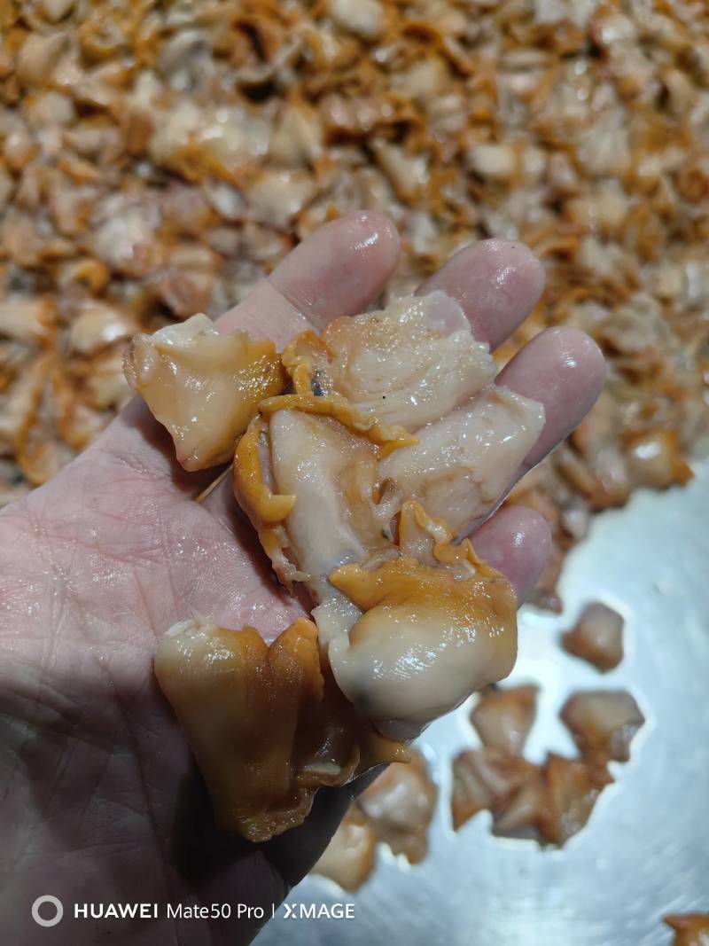 赤贝肉！鲜活赤贝加工！出口用，品质有保证！