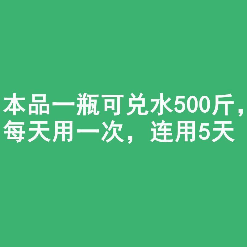 鸡腺胃炎肌胃炎腺胃肿大黄白痢过料性肠炎腺胃康饲料添加剂