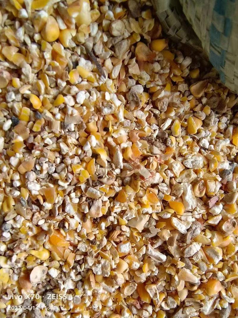 厂家直销碎玉米羊饲料碎玉米质量可靠