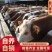 西门塔尔牛犊，肉牛犊，育肥牛犊，包运输包技术包成活