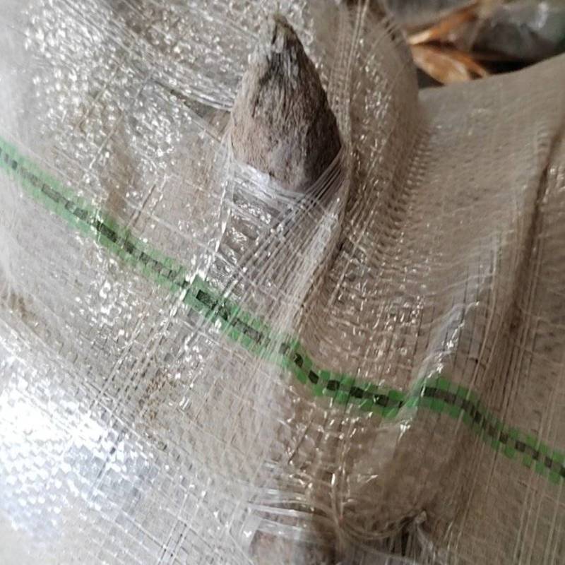 处理紫薯
