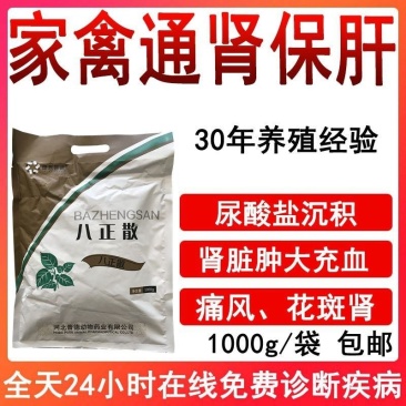 八正散鸡鸭鹅通肾保肝通肾肝肾肿大痛风花斑肾尿酸盐沉积