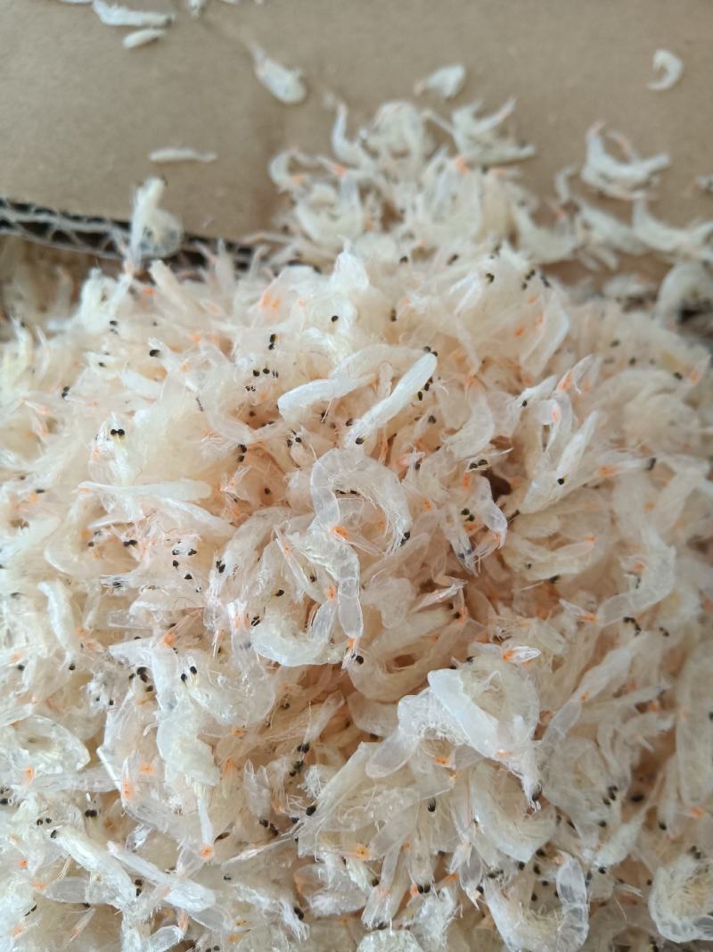 淡干低盐虾皮，高钙铁锌食品，适合大众人群食用，包水饺即食