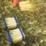 【荐】莴苣红叶莴苣江苏东台大量供应/1.5-2.5斤