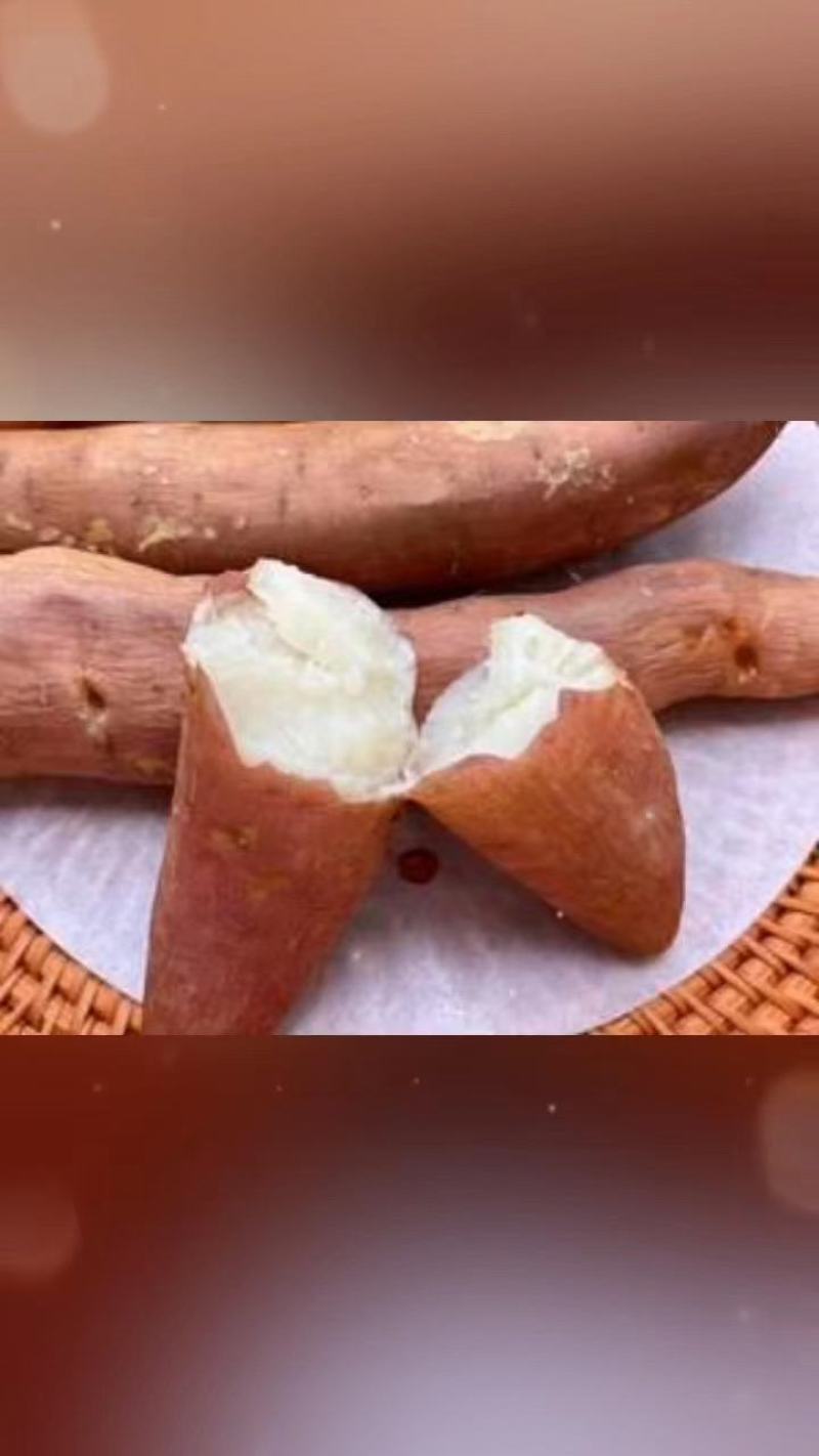 白密薯哈密