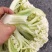 江苏东台有机花菜产地大量供应整车发货全国电商超市