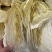 精品冷库黄心大白菜，净菜300吨，低价处理，腌制