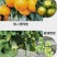 代替尿素的液体氮肥缓释氮肥提苗壮根促进生长防止倒伏