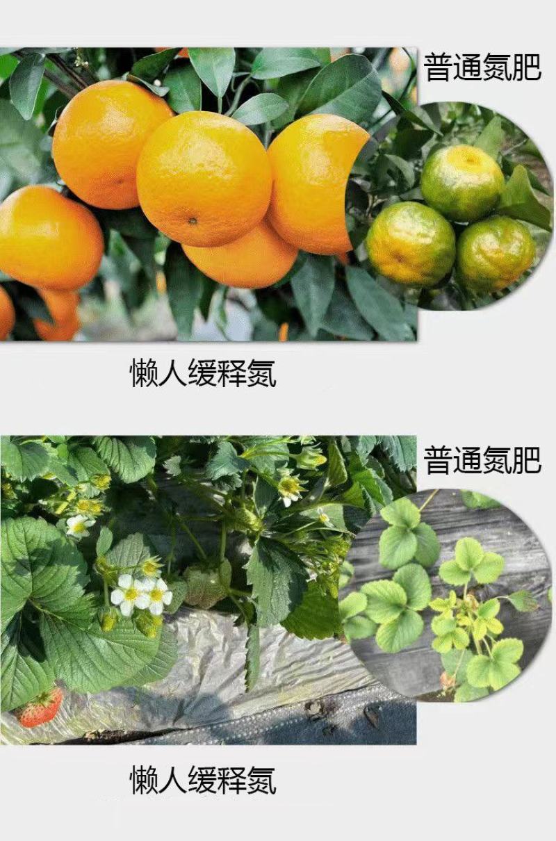代替尿素的液体氮肥缓释氮肥提苗壮根促进生长防止倒伏