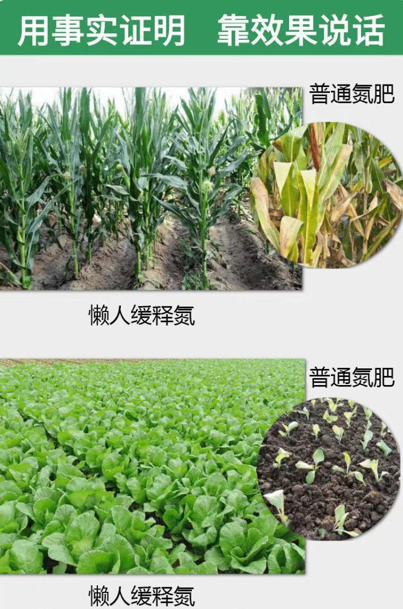 代替尿素的液体氮肥缓释氮肥提苗壮根促进生长防止倒伏
