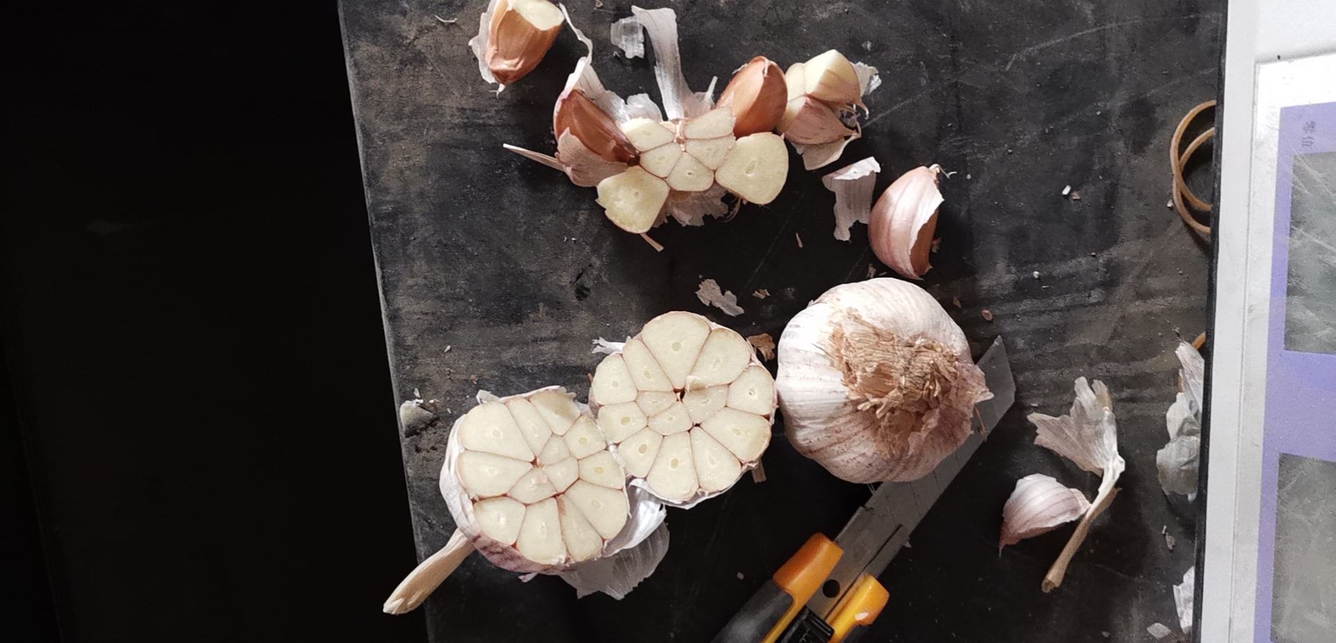 展示蒜末、蒜片、蒜丝和整瓣蒜的不同切法与成品效果 不同蒜切法展示