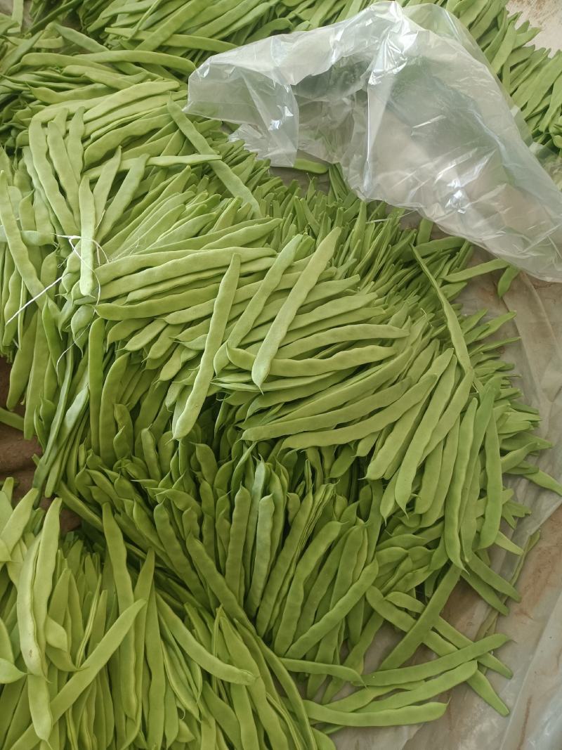 扁豆