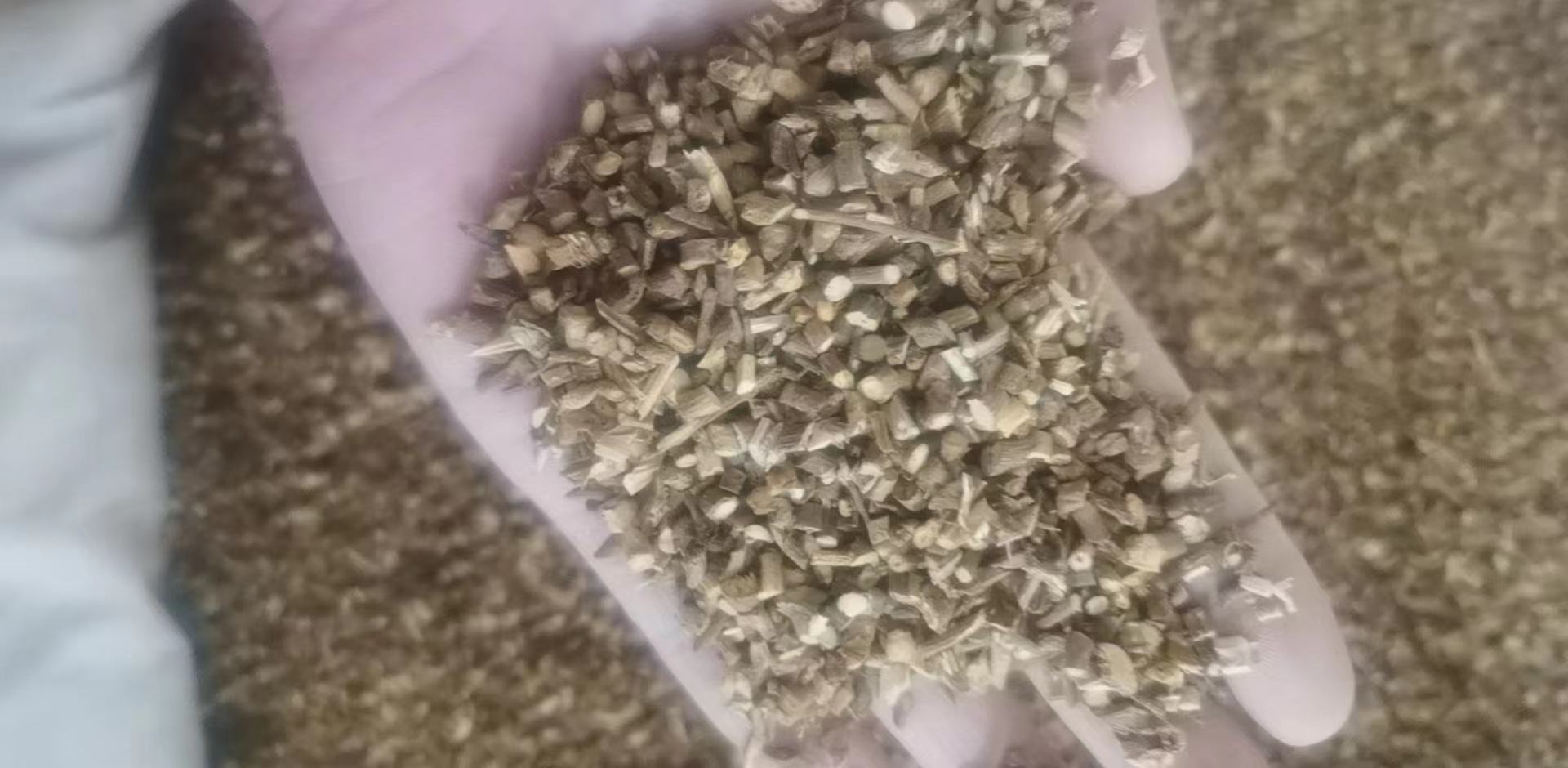 三组农产品并列展示:左侧为淡黄色纵向切片的黄芪药材,表面有明显纵皱纹;中间为暗红色椭圆形宁夏枸杞干果,颗粒饱满均匀;右侧为深红褐色的新郑灰枣,果皮皱缩,果肉厚实,三者置于白色瓷盘中,背景为浅木色桌面 黄芪片、宁夏枸杞干果、新郑红枣特写拼图