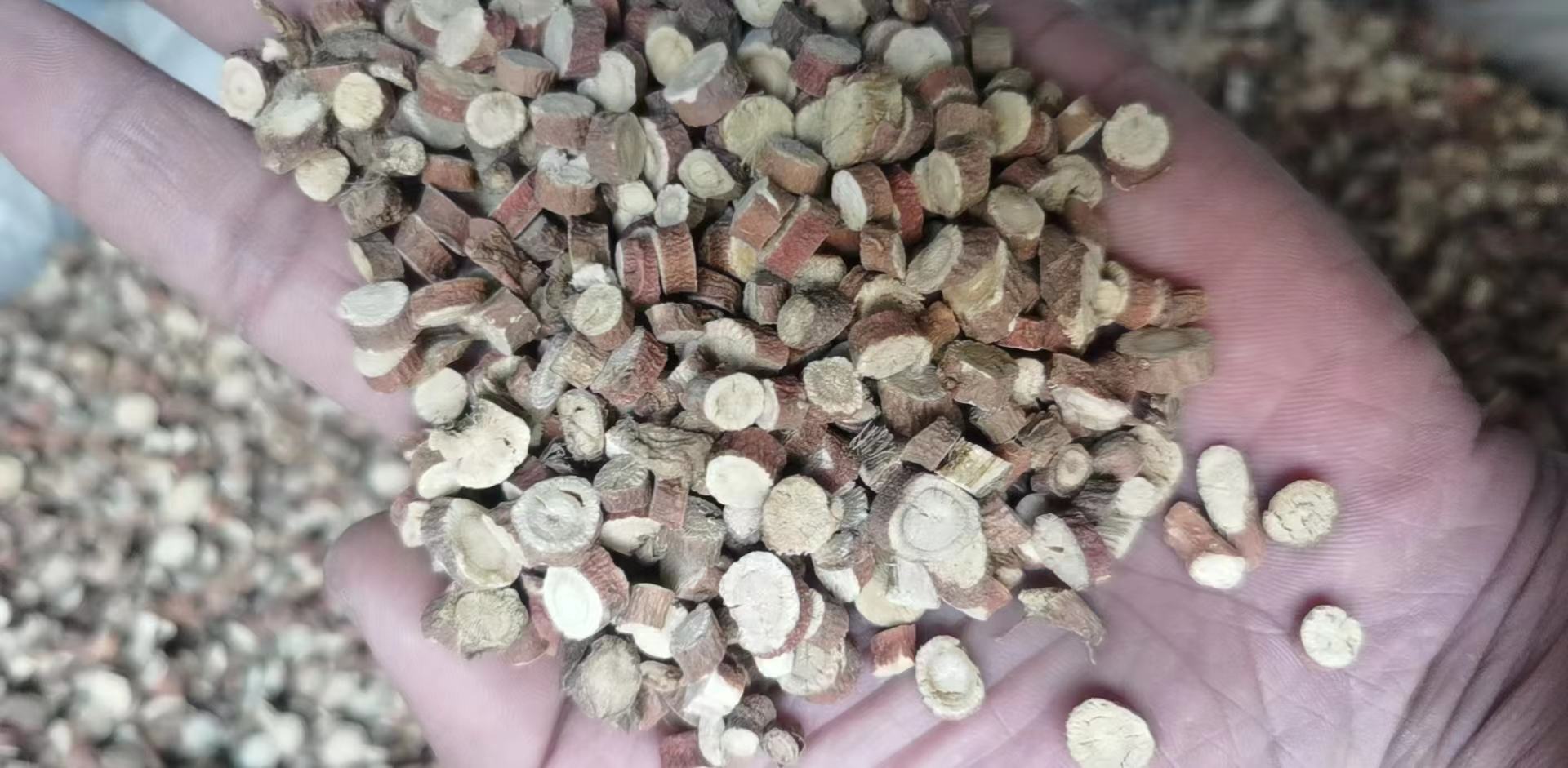枸杞适合不同人群的摄入建议图示