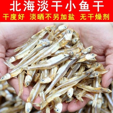 【干度好只卖净重】淡干公干鱼小鱼干批发9成干北海海燕鱼