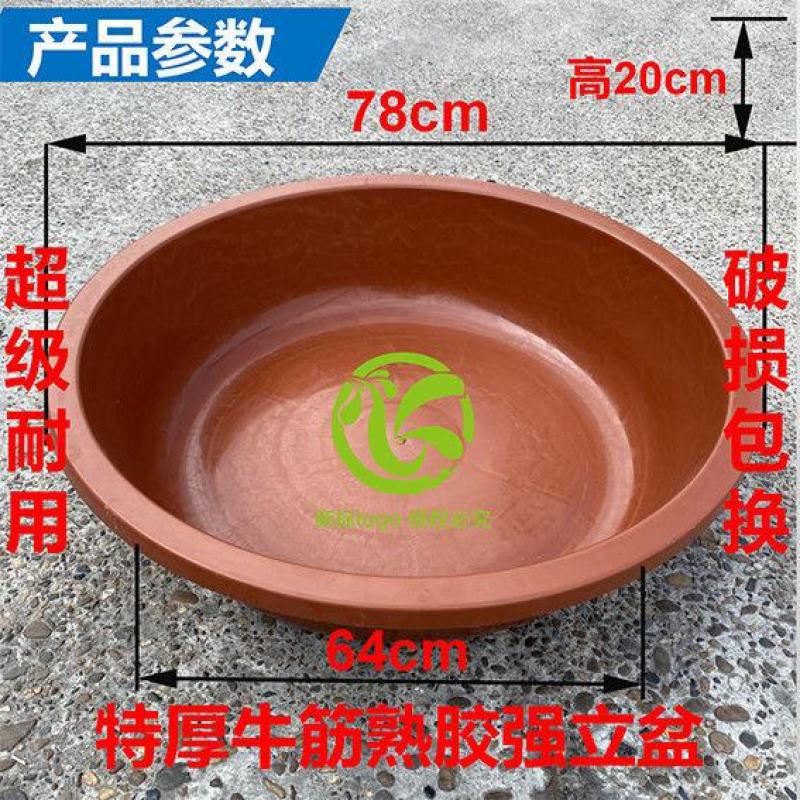 特加厚大牛筋盆洗脸洗菜盆家用小号洗脚洗澡塑料水盆子宿舍洗