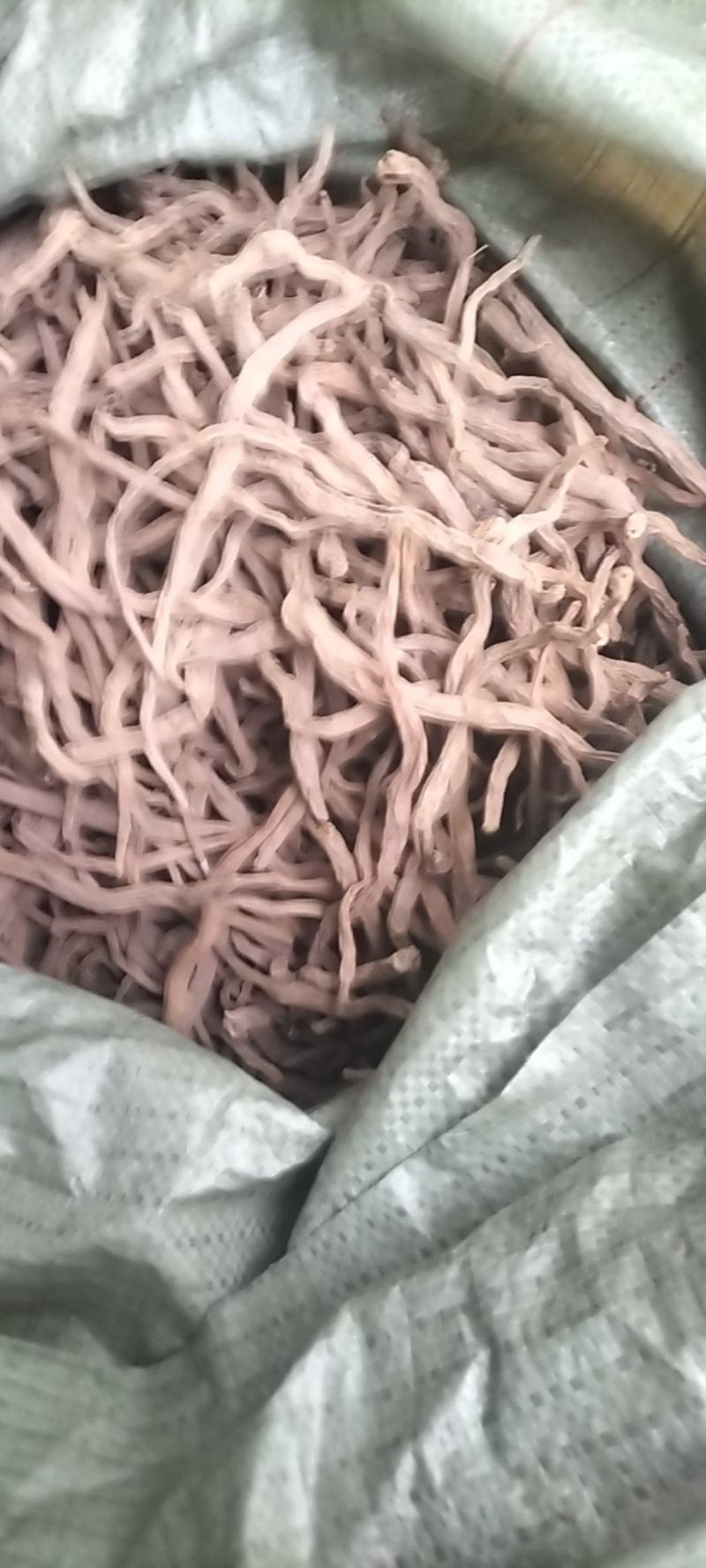 百部野生百部无硫水洗中药材欢迎联系产地货源