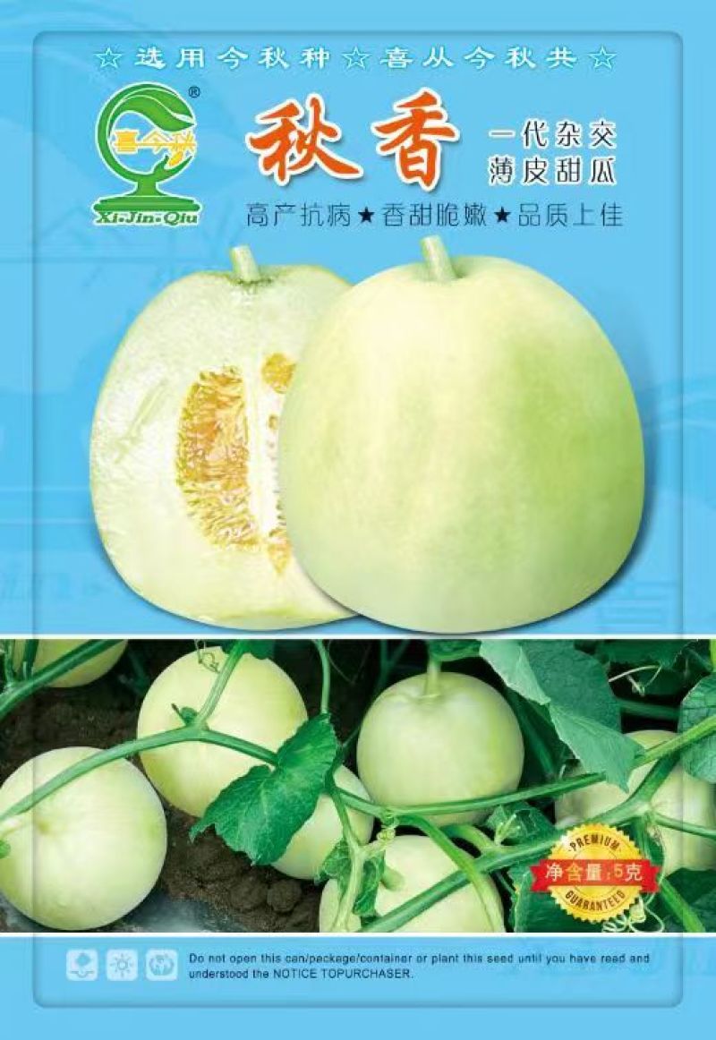 【秋香香瓜】优质杂交品种，口感脆甜，香味浓郁，产量优