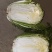 冷库储存87-114大白菜，便宜出售