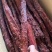 大块肉里脊麻辣大棒肉麻辣鲜香品质保障诚信经营