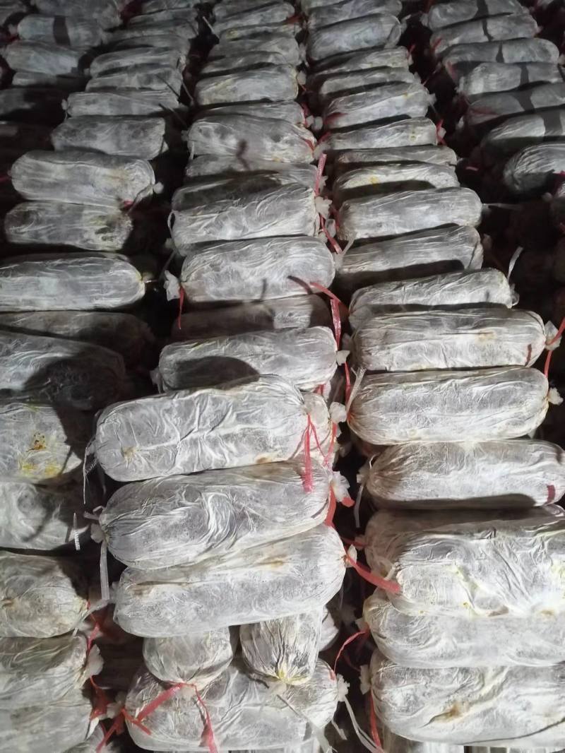 灵芝菌棒，产地自产直销，