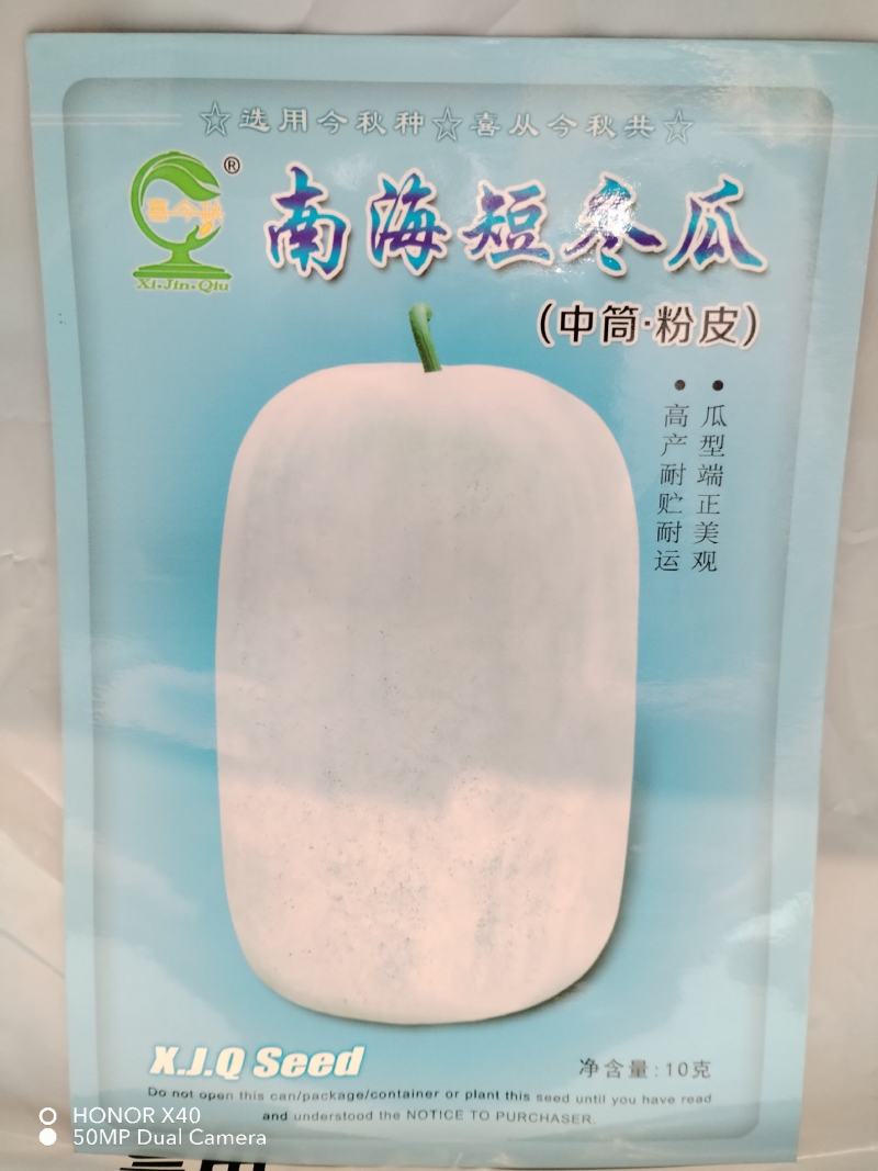 南海短粉皮冬瓜种子中筒高产耐储运