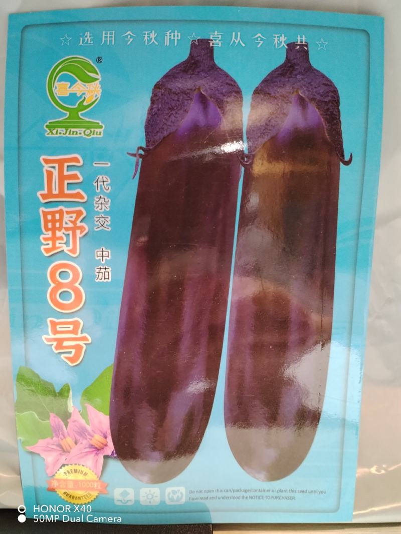正野8号烧烤茄肉厚烧烤专用中熟耐寒热抗病丰产