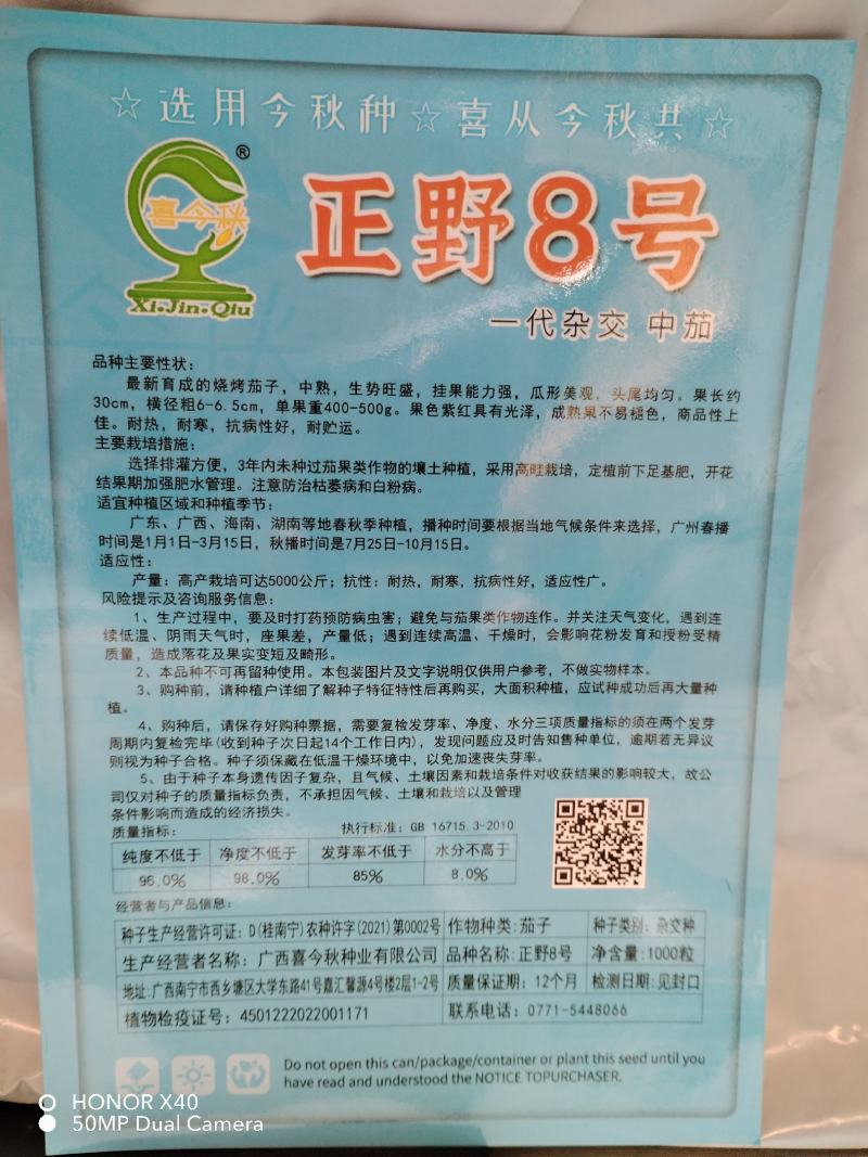正野8号烧烤茄肉厚烧烤专用中熟耐寒热抗病丰产