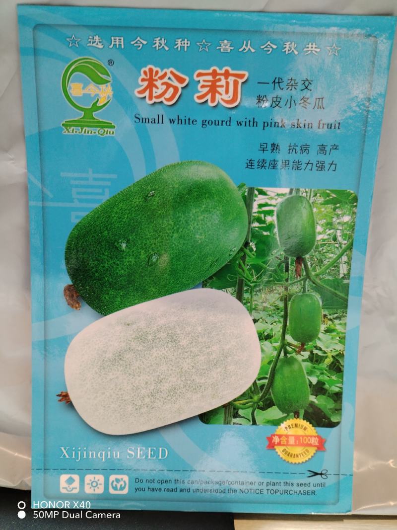粉莉实心小冬瓜种早熟耐热口感绵软清甜爬地撘架均可