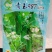 青玉987甜节瓜毛节瓜种子极早熟无蜡粉果实商品性好
